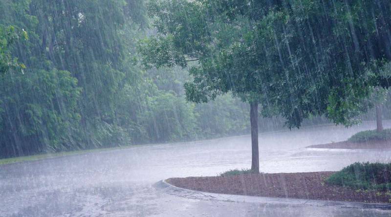 évacuation des eaux pluviales