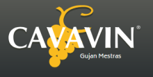 cavavin Gujan-Mestras cavavin